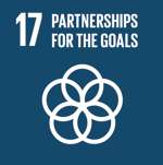 SDG17 icon